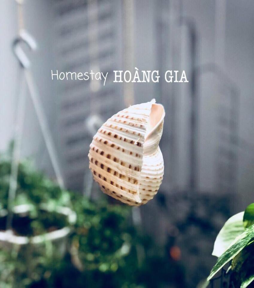 קוי נון Homestay Hoang Gia מראה חיצוני תמונה